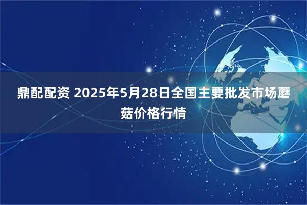 鼎配配资 2025年5月28日全国主要批发市场蘑菇价格行情