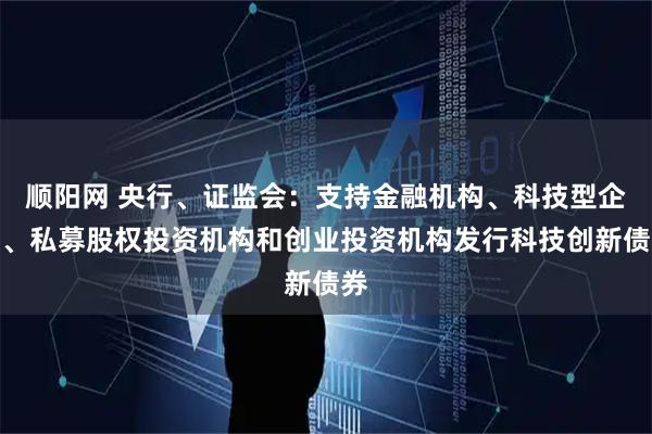 顺阳网 央行、证监会：支持金融机构、科技型企业、私募股权投资机构和创业投资机构发行科技创新债券