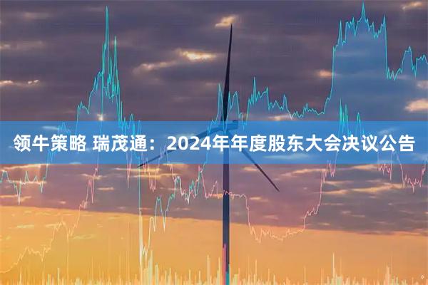 领牛策略 瑞茂通：2024年年度股东大会决议公告