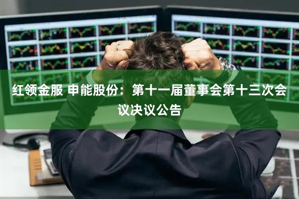 红领金服 申能股份：第十一届董事会第十三次会议决议公告