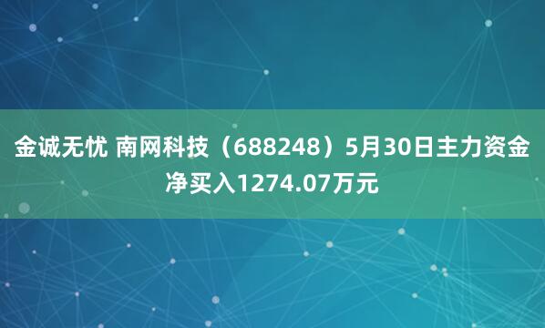 金诚无忧 南网科技(688248)5月30日主力资金净买入1274.07万元